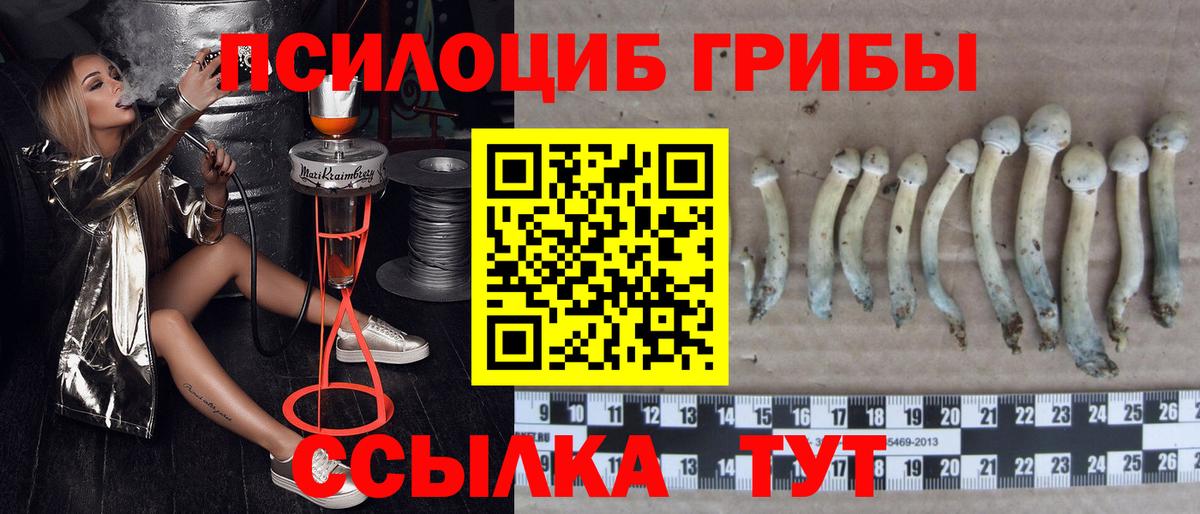 Псилоцибиновые грибы MAGIC MUSHROOMS Нягань